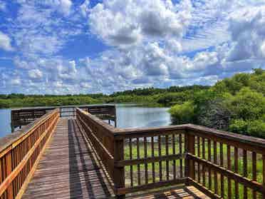 Room Rental Tampa/Brandon/Seffner