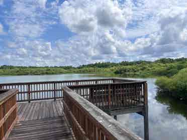 Room Rental Tampa/Brandon/Seffner