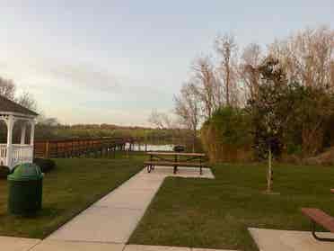 Room Rental Tampa/Brandon/Seffner