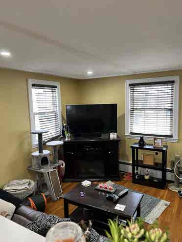 Room for rent