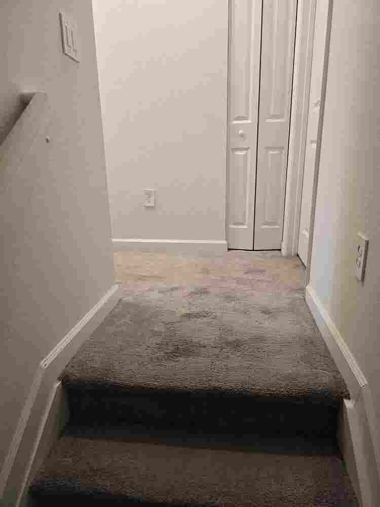 Renting room $ off first month