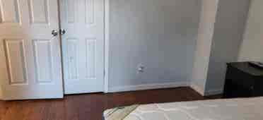 Private Room in Clean Apartment
