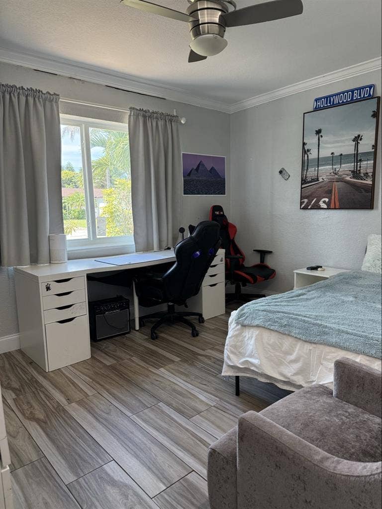 Looking for single professional.