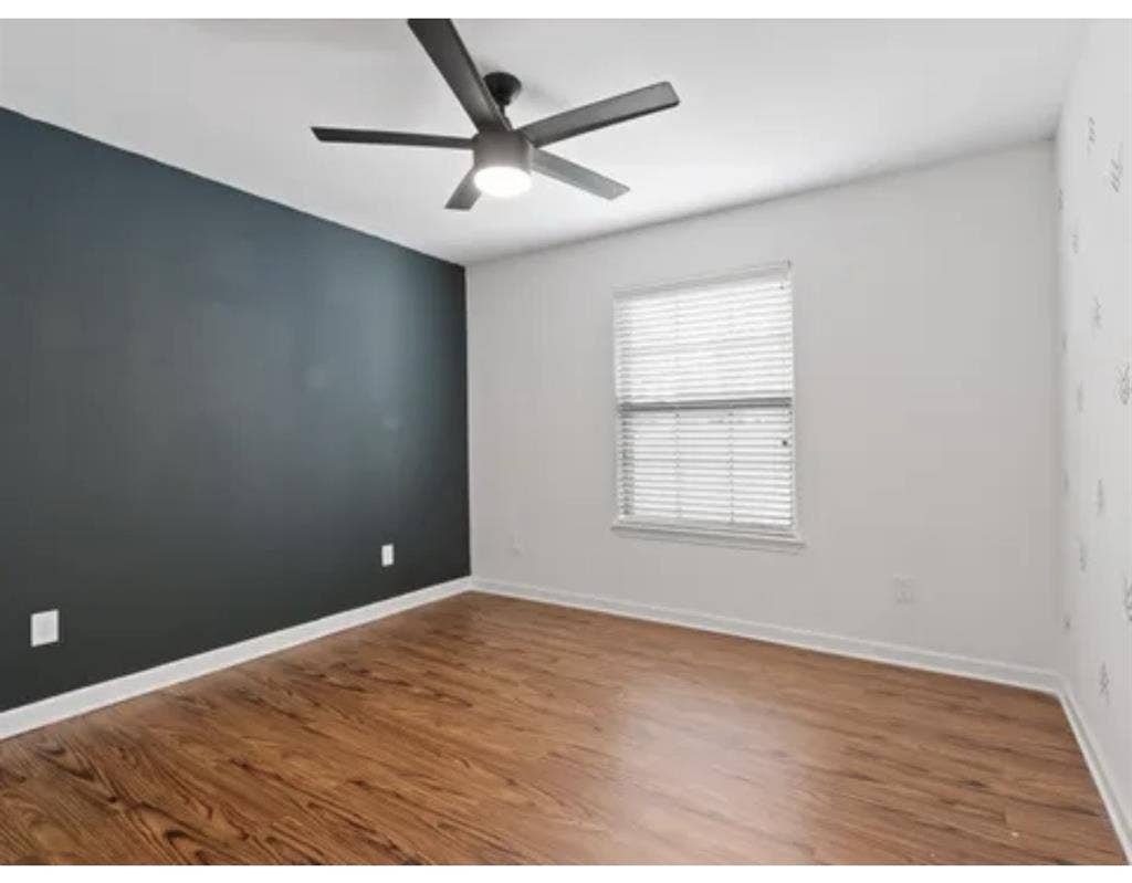 Looking for tidy female roommates