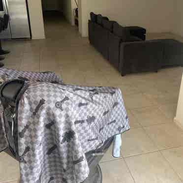 4 bed house with big back yard