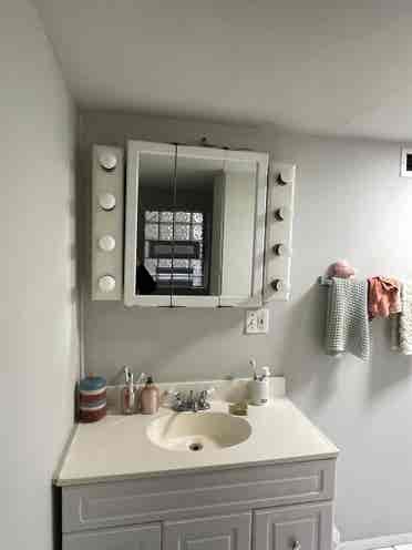 Room available in Wicker Park