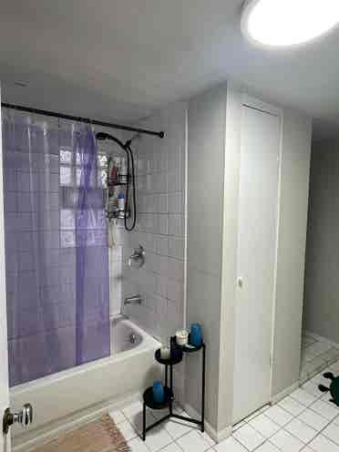 Room available in Wicker Park