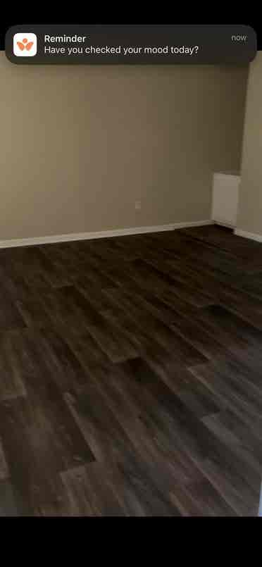 Female Roommate for Montrose Apt.!
