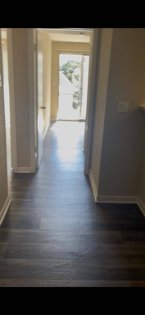 Female Roommate for Montrose Apt.!