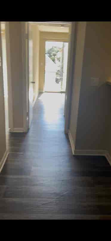 Female Roommate for Montrose Apt.!
