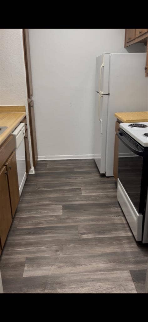 Female Roommate for Montrose Apt.!