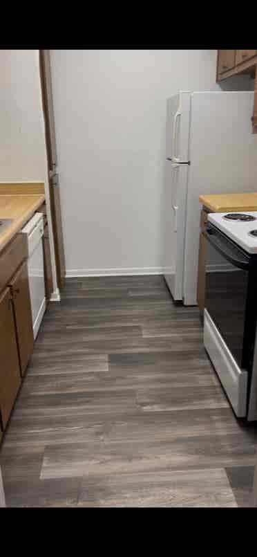 Female Roommate for Montrose Apt.!
