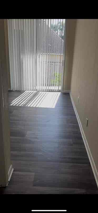 Female Roommate for Montrose Apt.!
