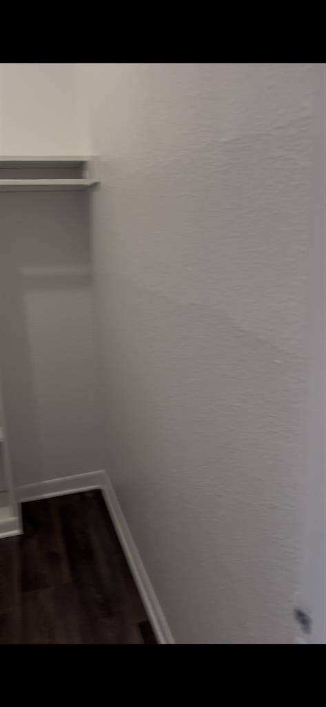 Female Roommate for Montrose Apt.!