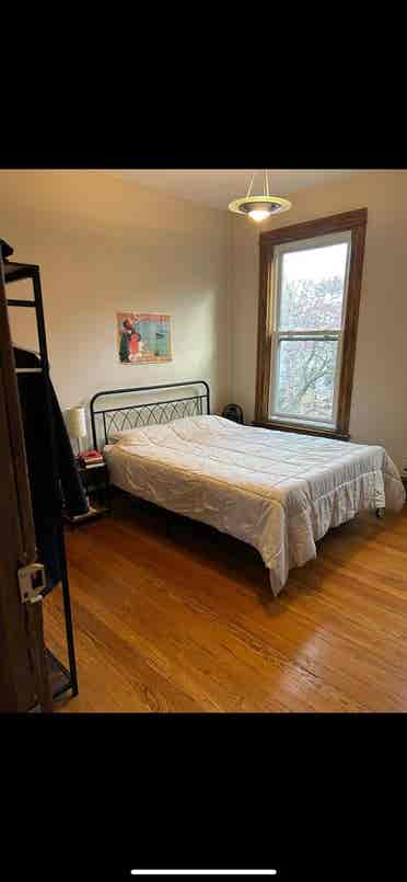 4 bedroom condo in Hyde Park