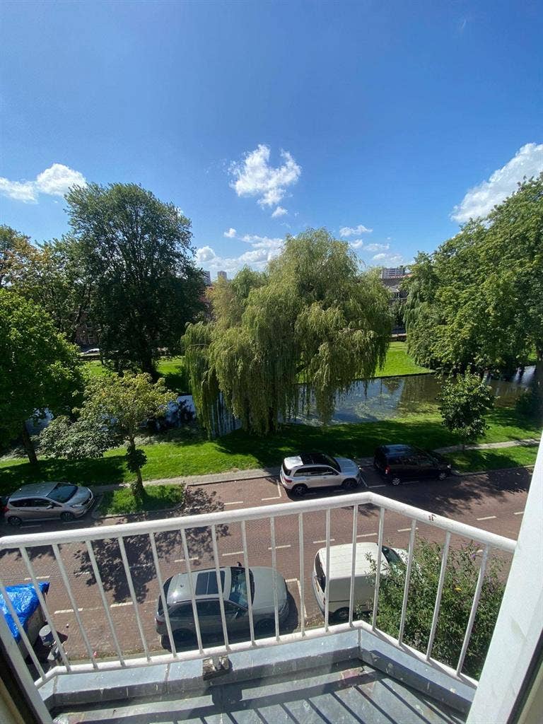 roterdam south