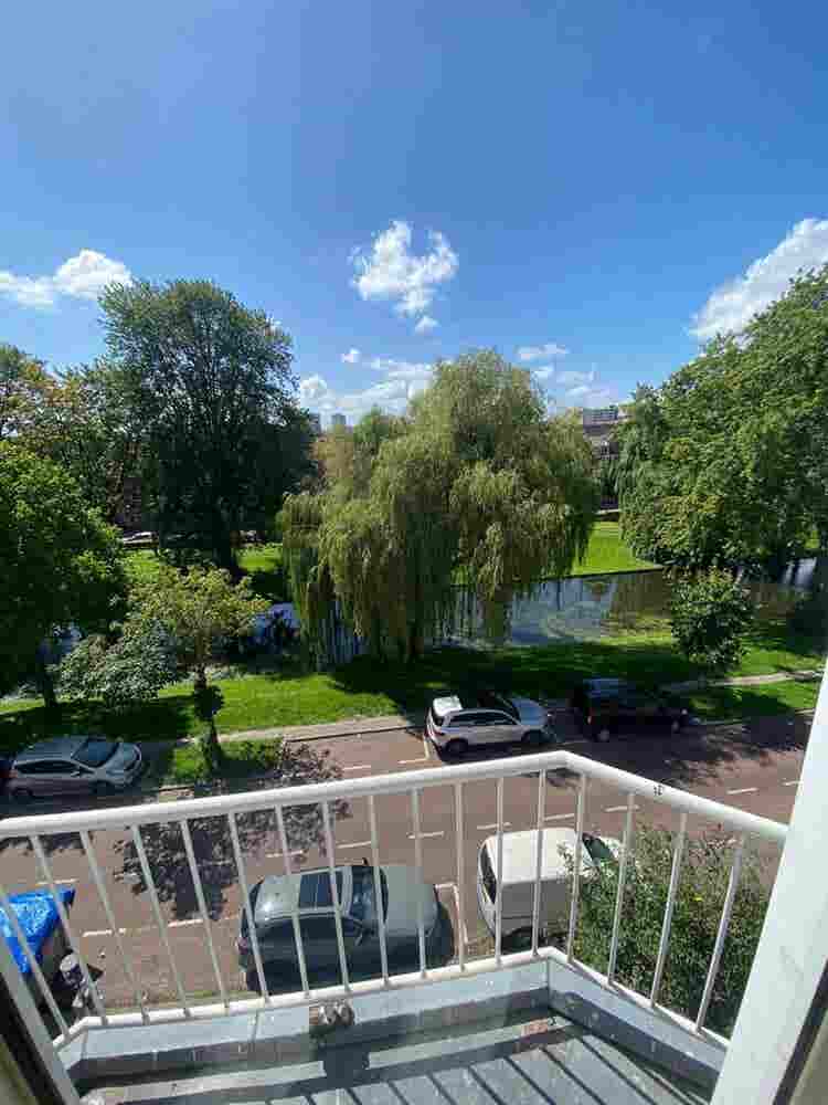roterdam south