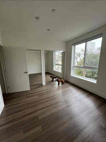 Roommate needed for b apt