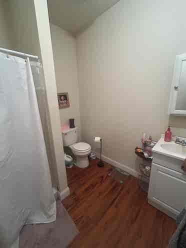 Roommate wanted near Temple!