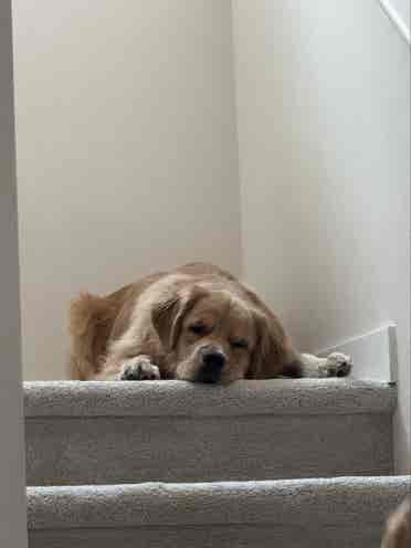 Need 
housemates, two bed available