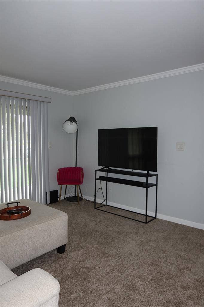 Female Roomate wanted