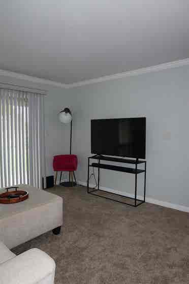 Female Roomate wanted