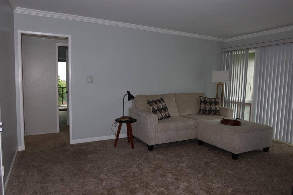 Female Roomate wanted