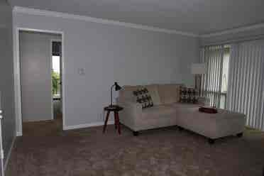 Female Roomate wanted