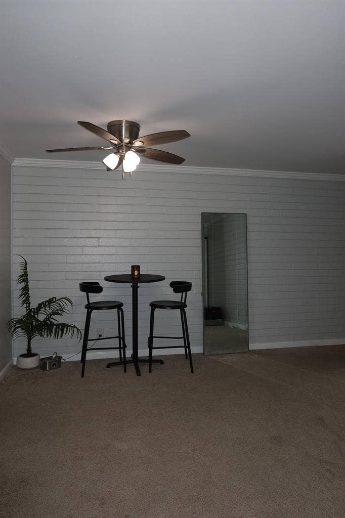 Female Roomate wanted