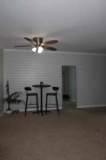 Female Roomate wanted