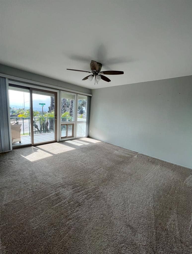 Female Roomate wanted