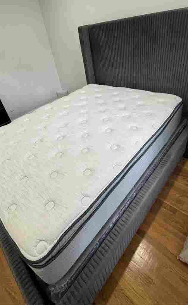 X- Large room in Flatbush