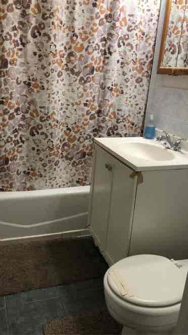 Looking for female roommate.