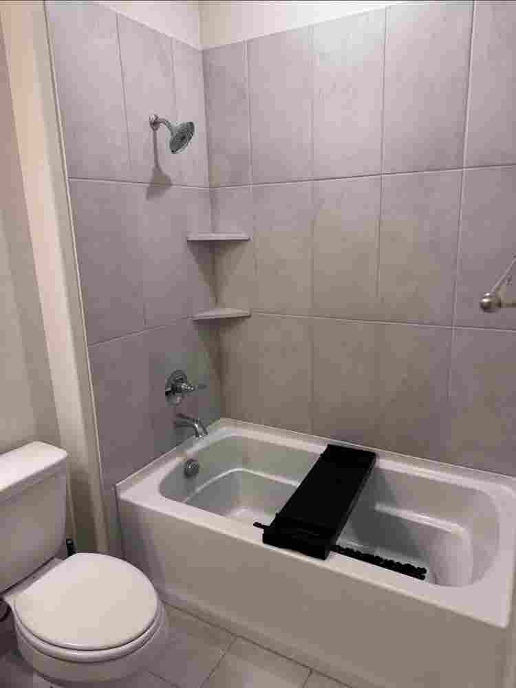 Roommate needed