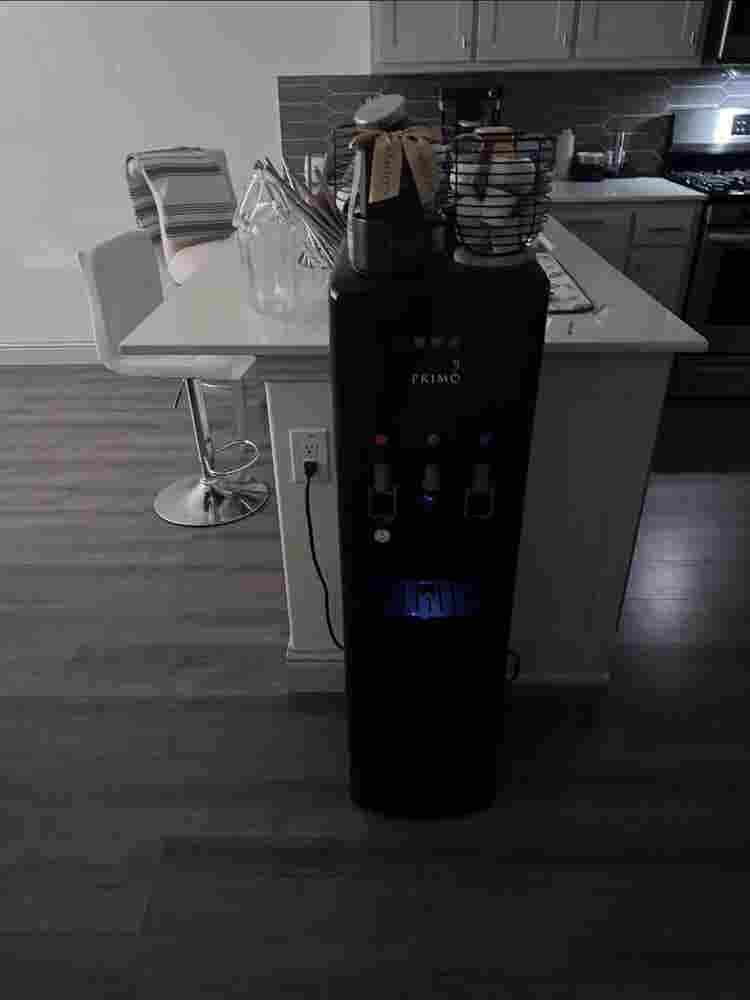 Roommate needed