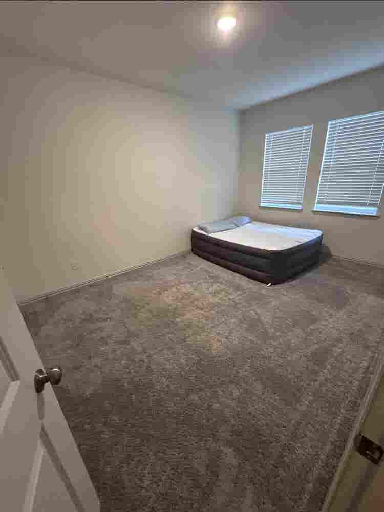 Roommate needed