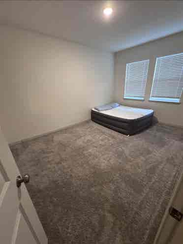 Roommate needed