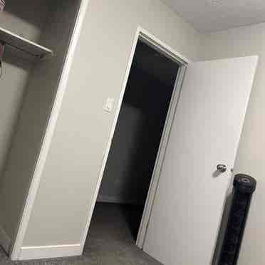 One room for rent