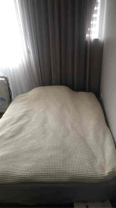 Share room in CBD only girl