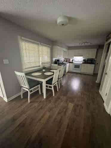 Roommate wanted
