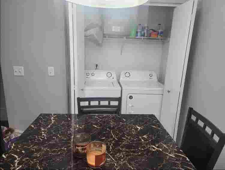 Looking for a roommate