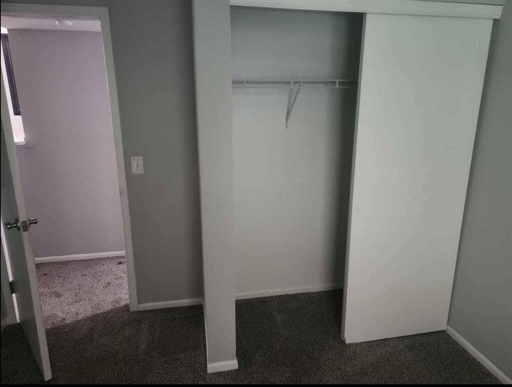 Looking for a roommate