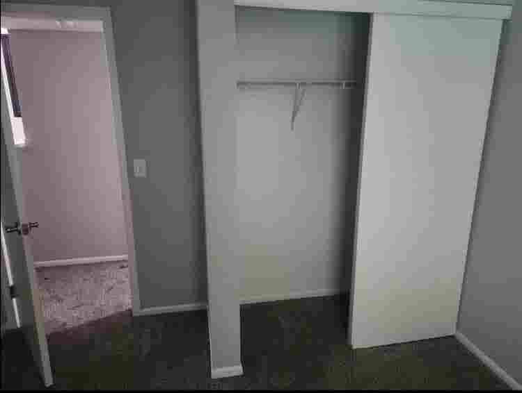 Looking for a roommate