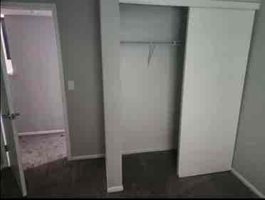 Looking for a roommate