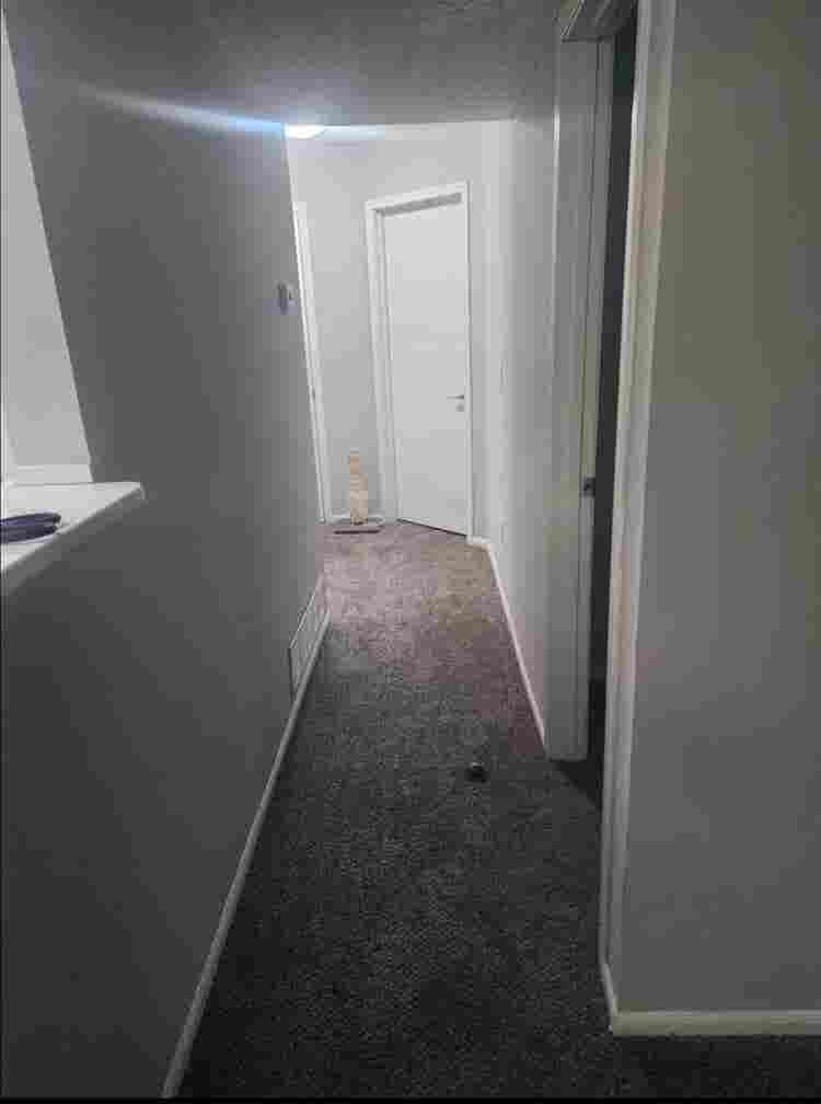 Looking for a roommate