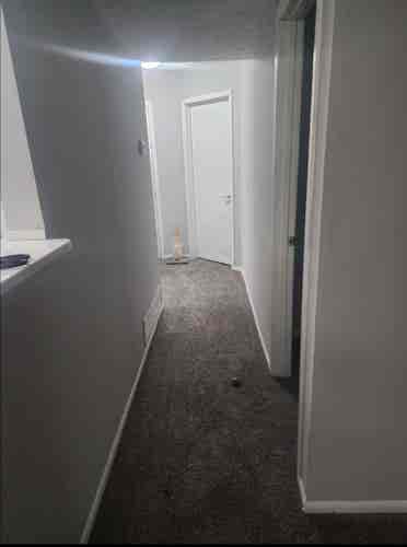 Looking for a roommate
