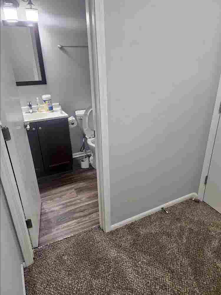 Looking for a roommate