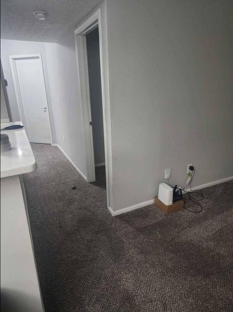 Looking for a roommate