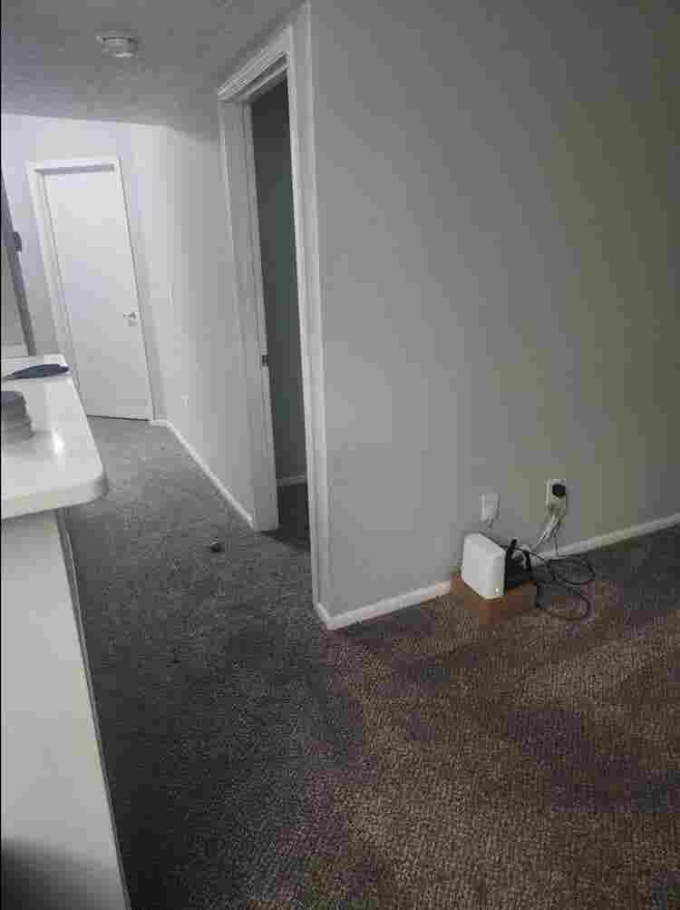 Looking for a roommate