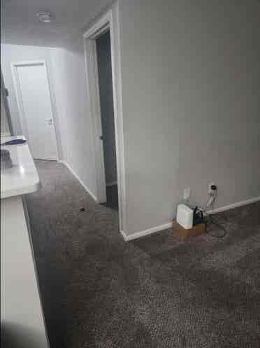 Looking for a roommate